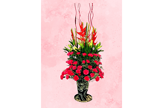 Eternal Carnations: Timeless Beauty